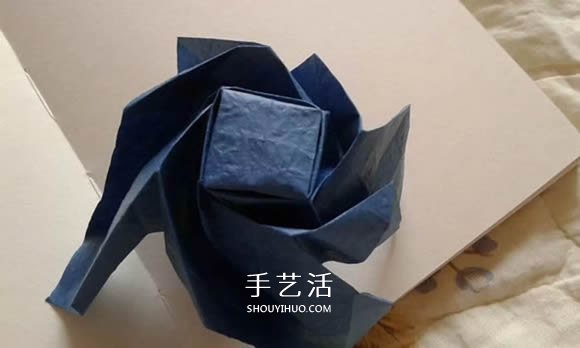 折纸玫瑰花教程 漂亮贝利尔玫瑰的折法步骤