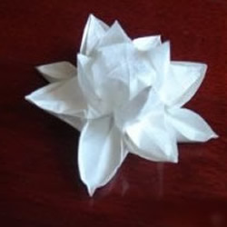 折纸带莲蓬的莲花教程