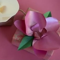 简单兰花的折法图解 手工纸兰花的做法教程