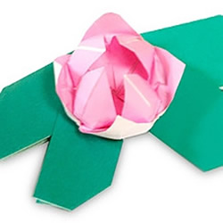 简单莲花的折纸方法图解 含花朵和叶子的折法