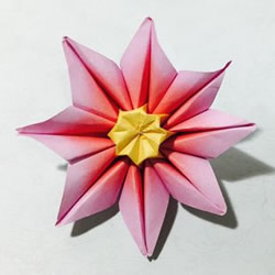 怎么手工折纸太阳花的详细步骤 简单容易学！