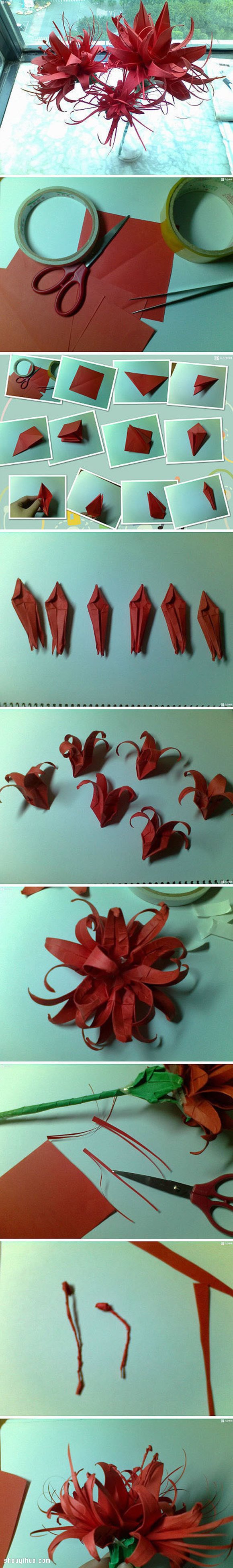 盛开热带花卉的折法图解 手工折纸漂亮花朵