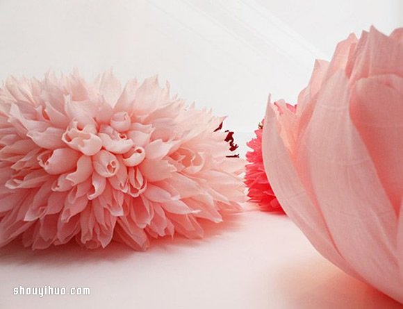 Tiffanie Turner的大型纸艺花卉作品欣赏