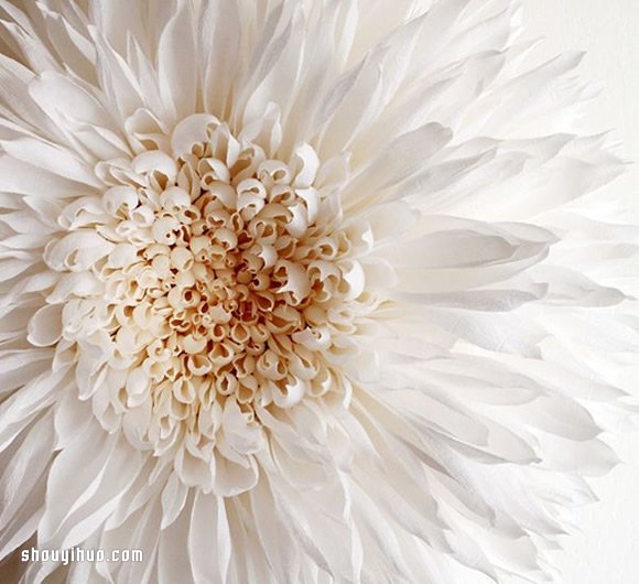 Tiffanie Turner的大型纸艺花卉作品欣赏