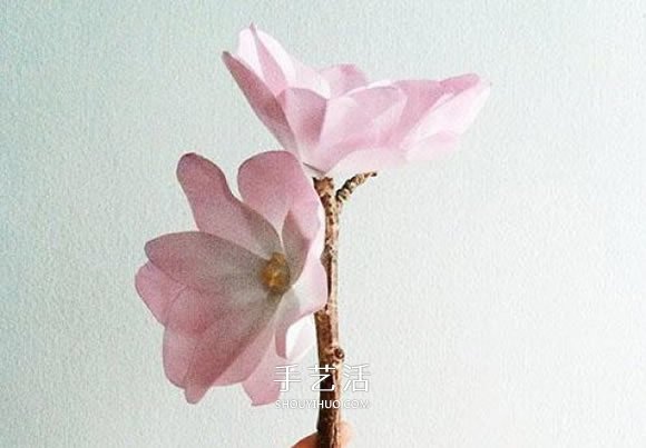教师节木兰花的制作 纸木兰花的做法图解