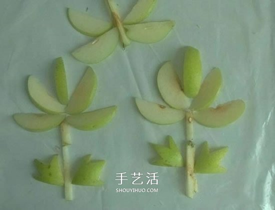 简单梨子手工 幼儿用水果拼画花朵的方法