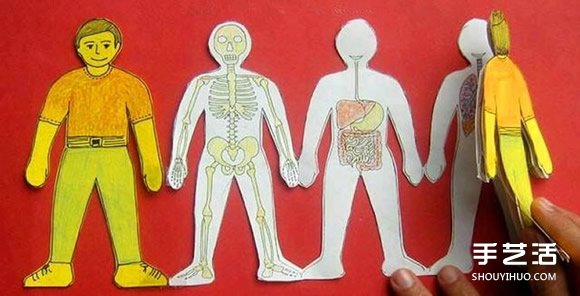 幼儿园玩教具制作：教小朋友认知身体主要器官