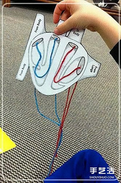 幼儿园玩教具制作：教小朋友认知身体主要器官