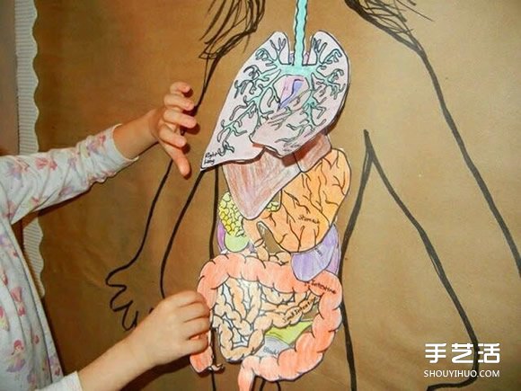 幼儿园玩教具制作：教小朋友认知身体主要器官