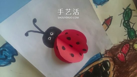 幼儿园手工制作立体瓢虫的做法