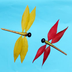 巧用树叶、桂圆核做创意蜻蜓
