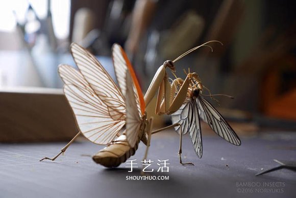 竹子制作的精致昆虫模型 几乎和真实一样！
