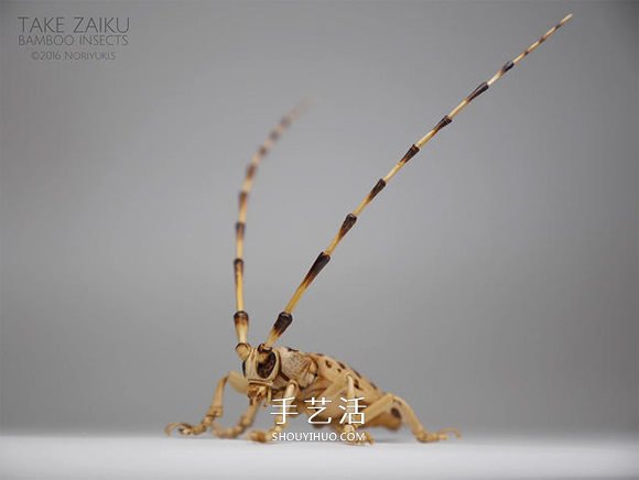 竹子制作的精致昆虫模型 几乎和真实一样！