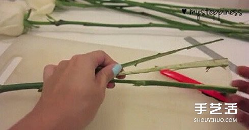 利用虹吸原理DIY制作彩虹玫瑰花的方法教程