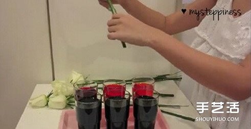 利用虹吸原理DIY制作彩虹玫瑰花的方法教程