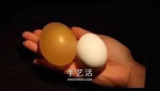 趣味小实验：用醋溶解掉鸡蛋壳的方法