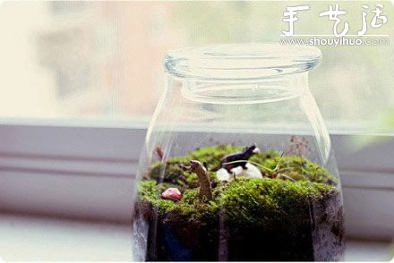 DIY装饰性玻璃瓶盆栽