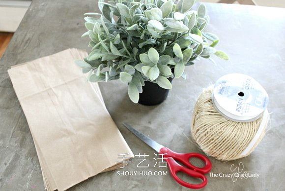 使用牛皮纸袋子制作用于室内绿化的纸花盆