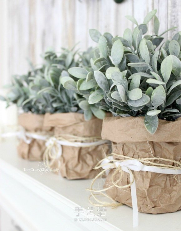 使用牛皮纸袋子制作用于室内绿化的纸花盆