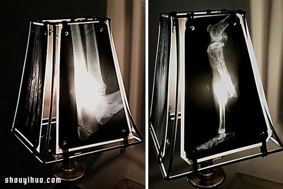 废弃动物骨骼X光片打造另类透光灯罩