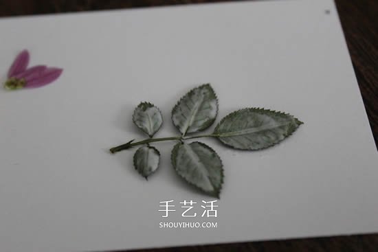 自制母亲节压花卡片 用干花做贺卡的方法图解