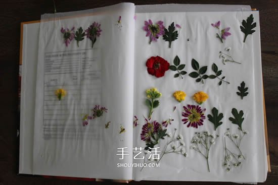 自制母亲节压花卡片 用干花做贺卡的方法图解