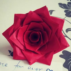 情人节红玫瑰折纸 美丽纸玫瑰花的折法图解