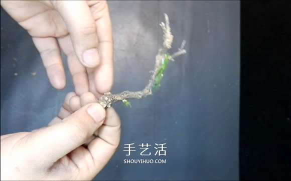 DIY微景观的制作步骤详细视频教程