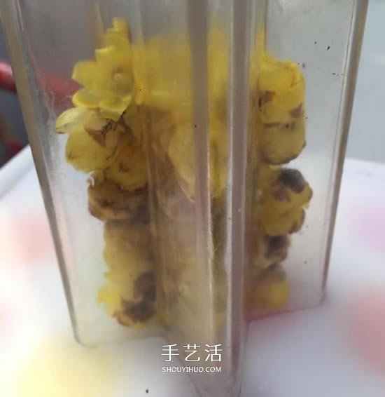 自制蜡梅花蜡烛的方法 鲜花蜡烛礼物DIY制作